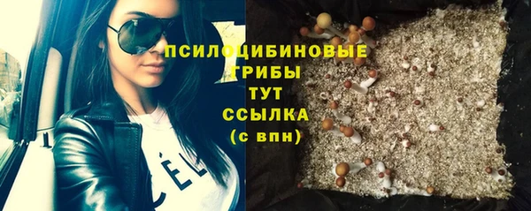 MESCALINE Вяземский