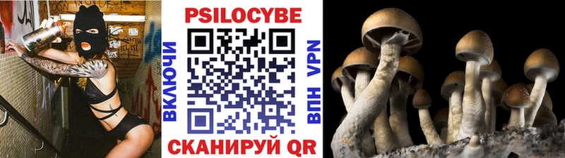 Псилоцибиновые грибы прущие грибы  Отрадный 